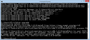 DNVM Upgrade